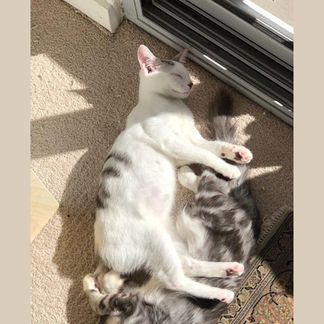 Photo of Milk Bottle