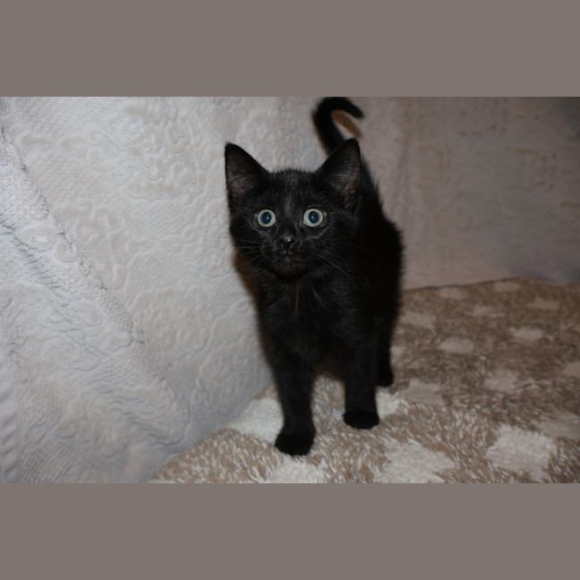 Photo of Ellie