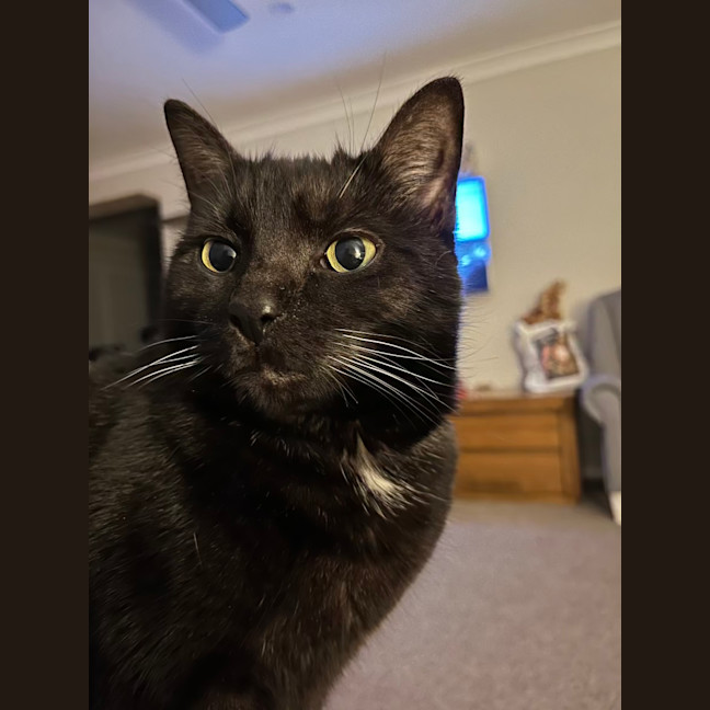 Photo of Monster