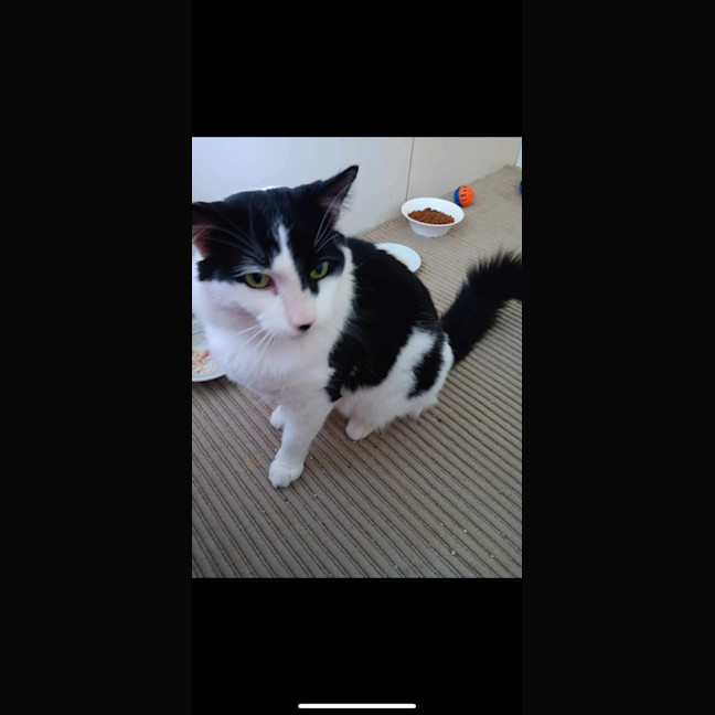 Photo of Nebula