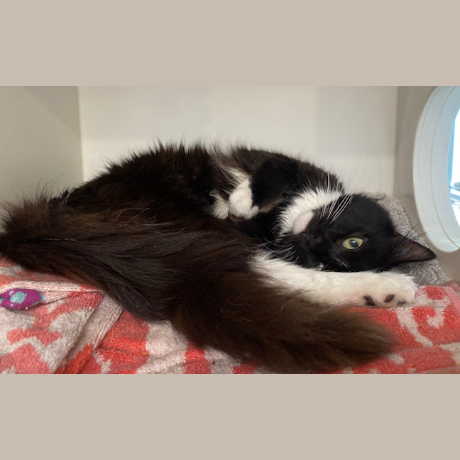 Photo of Gunter