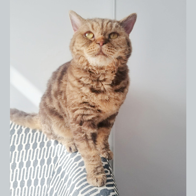 Photo of 🥜Carmen🥜