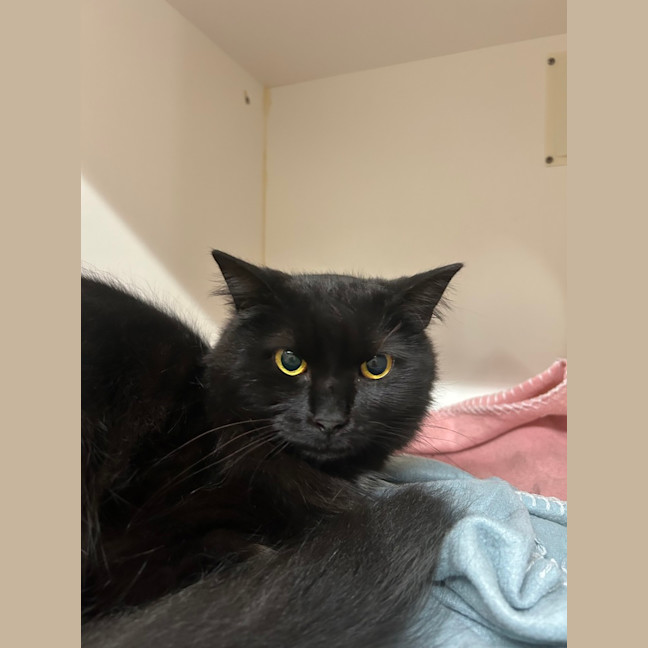 Photo of Turbo