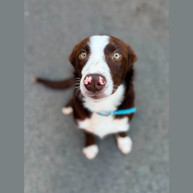 Photo of Mickey