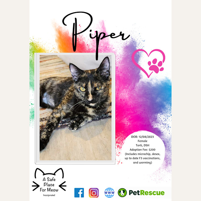 Photo of Piper