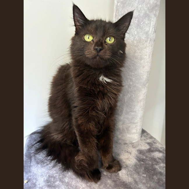 Photo of Harper 🩷 