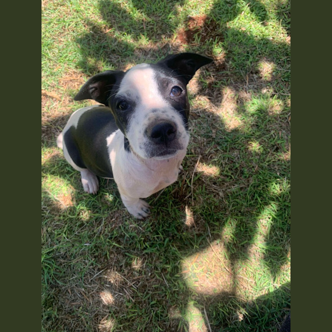 Photo of Milly