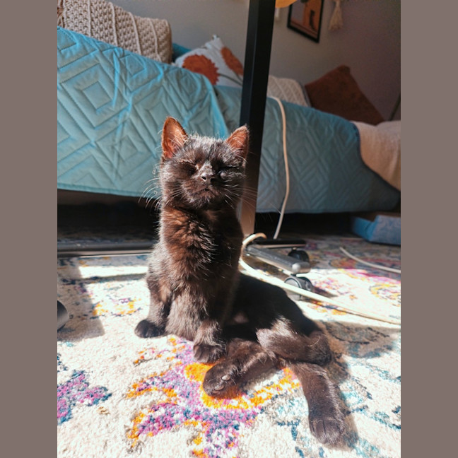 Photo of Etienne (Was Curly Sue)