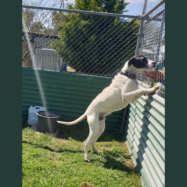 Photo of Duke