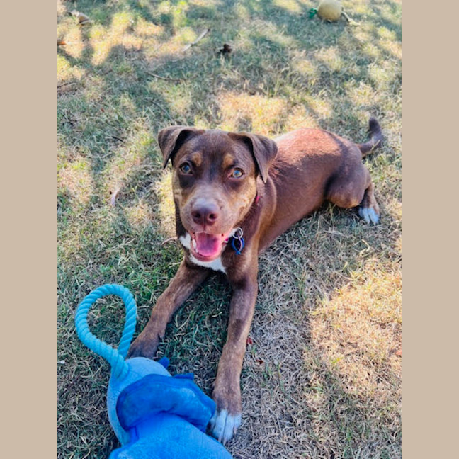 Photo of Bingo Ellie