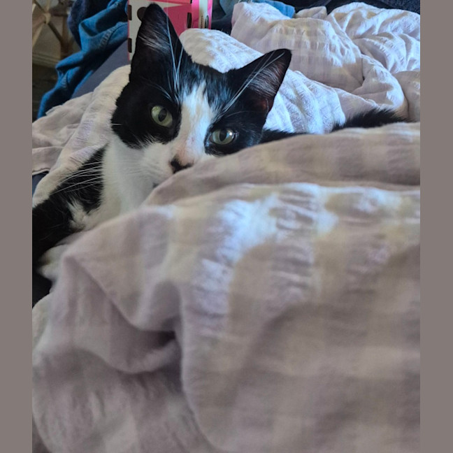 Photo of Theodore 
