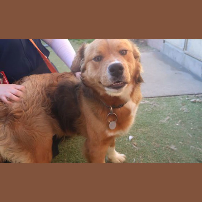 Photo of Atlas