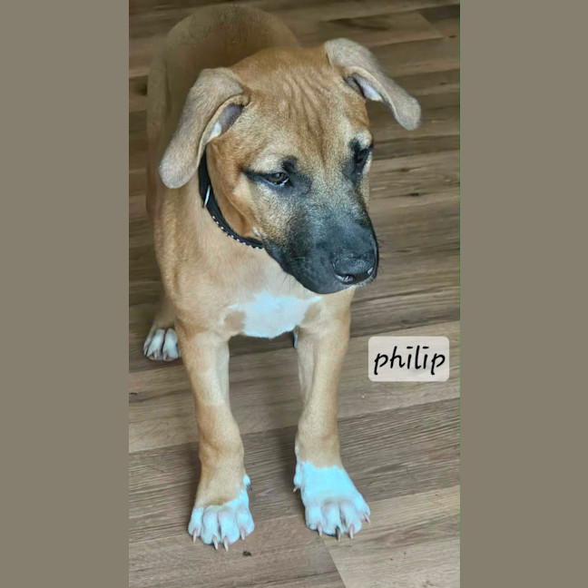 Photo of Phillip 