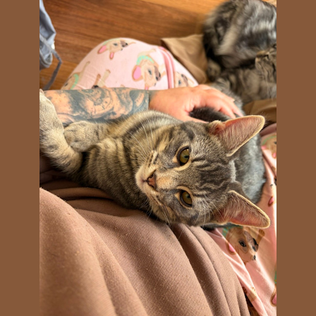 Photo of Jeremiah