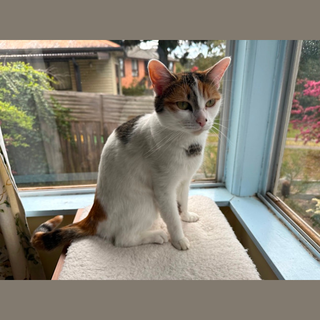Photo of Millie
