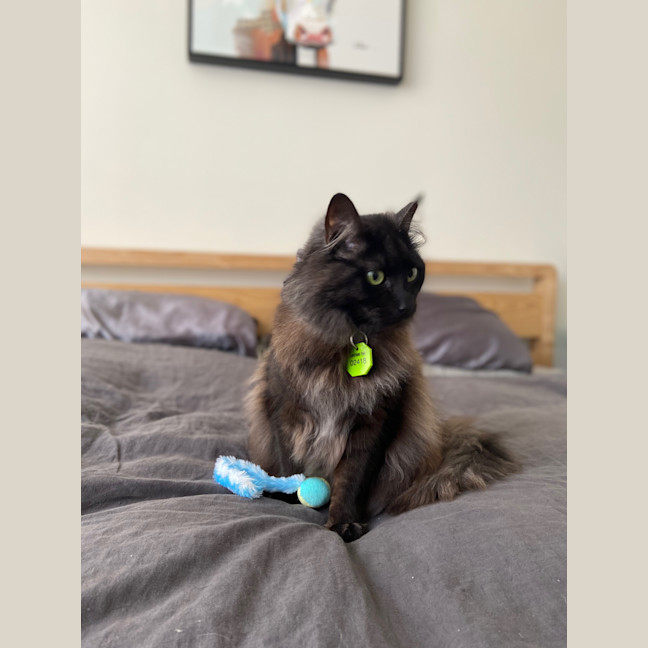 Photo of Phoebe