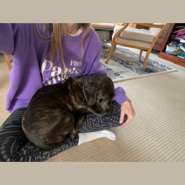 Photo of Elsa