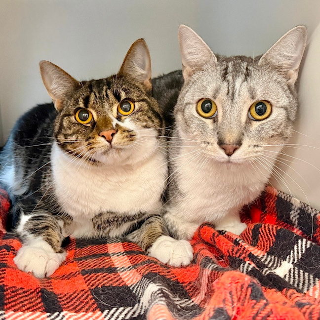 Photo of Coffee & Ralph