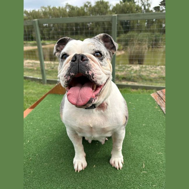 Photo of Sally