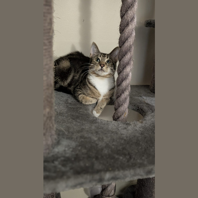 Photo of Little Man