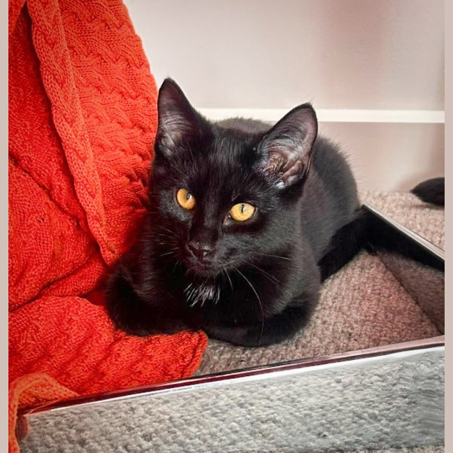 Photo of Bruce