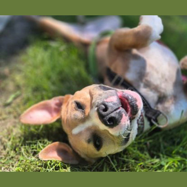 Photo of Kimber