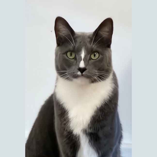 Photo of Still Water 