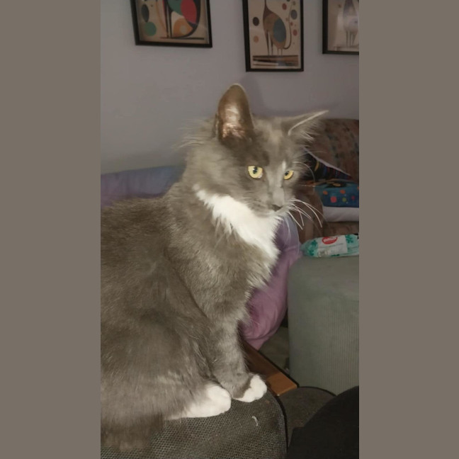 Photo of Greyson 💙