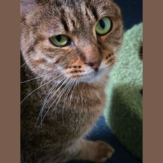 Photo of Mystie