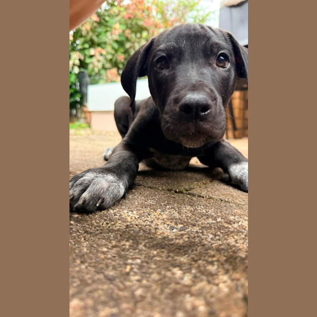 Photo of Socks