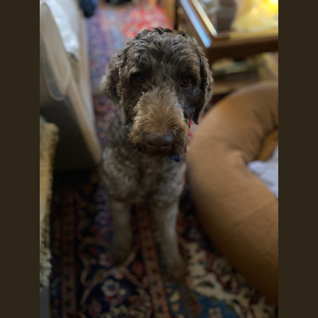 Photo of Lou Lou
