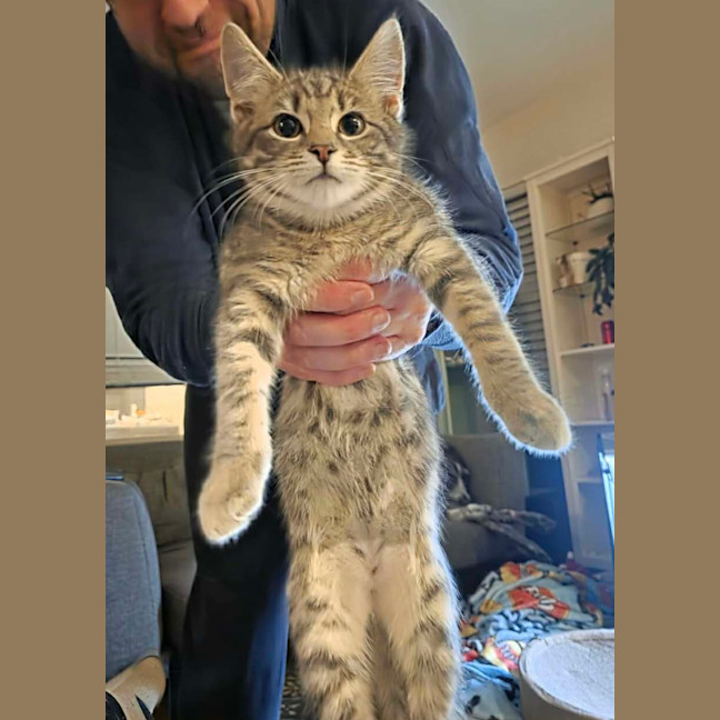 Photo of Jean Luc & Socks