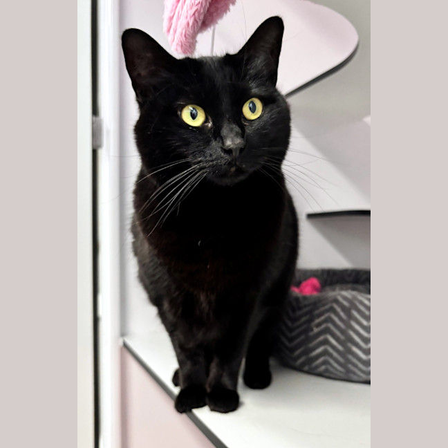 Photo of Mimi Rsta011476