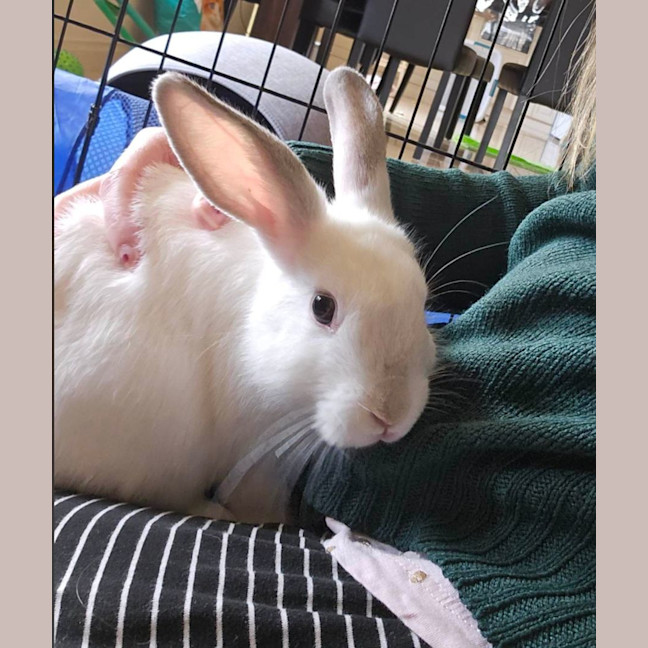 Photo of Jon Snow Jr And Robb Stark