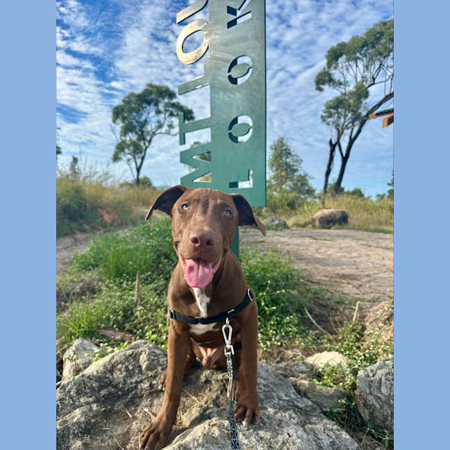Photo of Duke