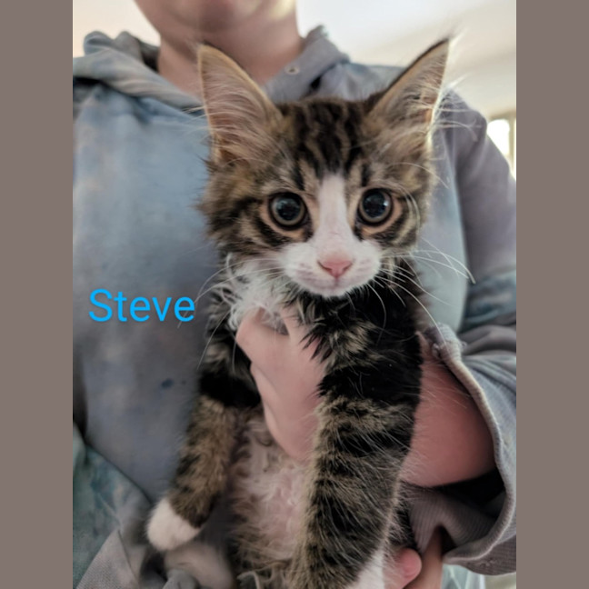 Photo of Steve Meet Me@Petstock Dandenong Store