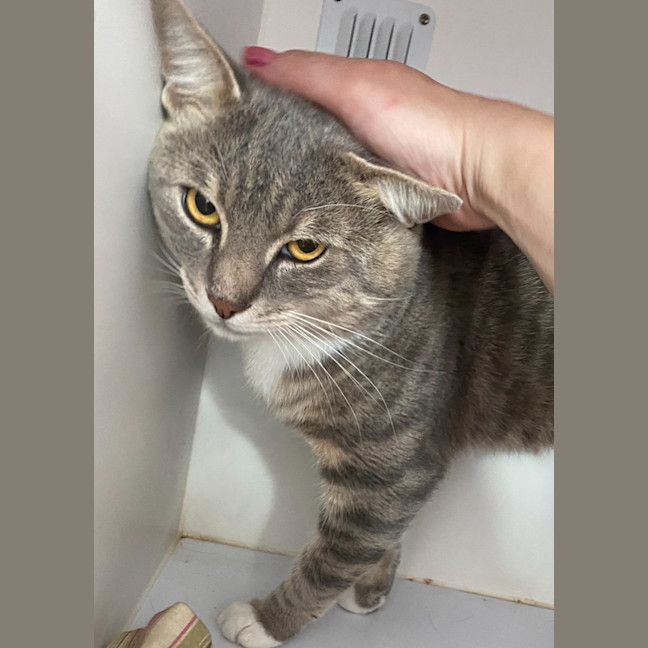 Photo of David (9185)