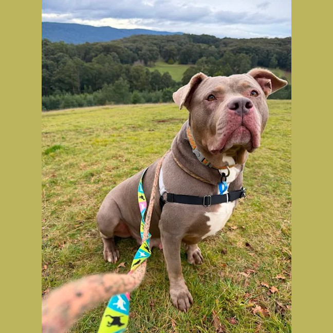 Photo of Storm