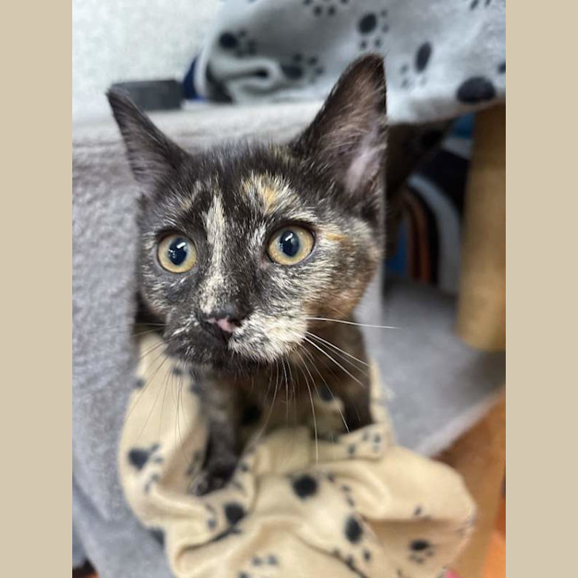 Photo of Lillith