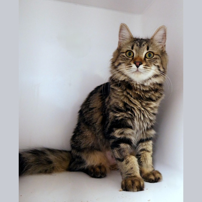 Photo of Lucy Suk015750