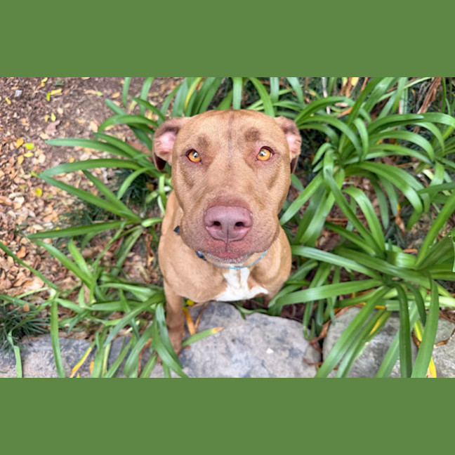 Photo of Missy