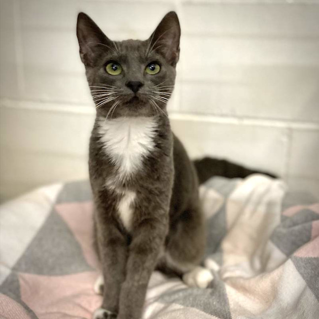Photo of Luna