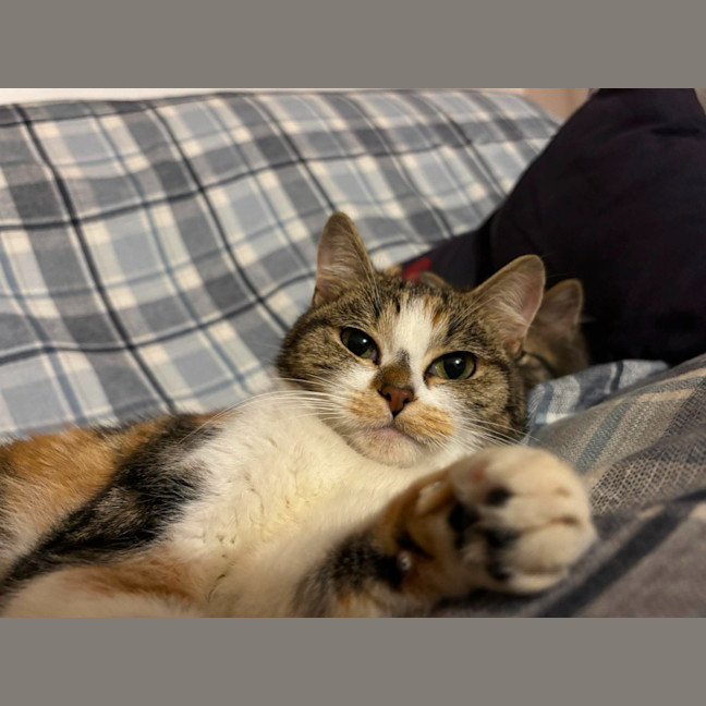 Photo of Mia