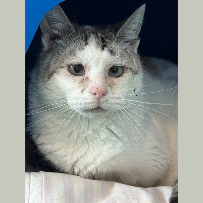 Photo of Elsa