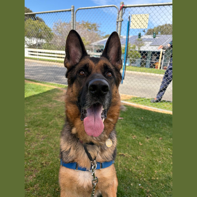 Photo of Kaiser