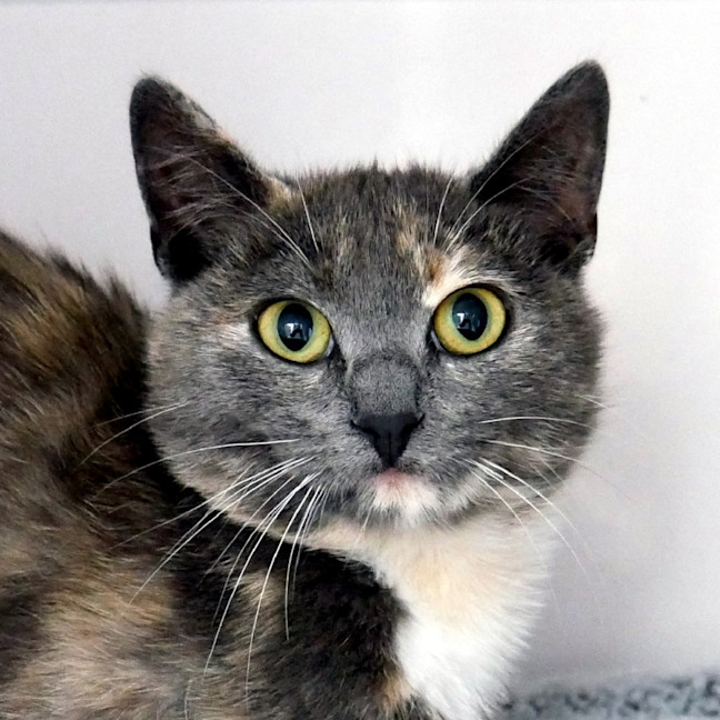 Photo of Phoebe Rsta013085