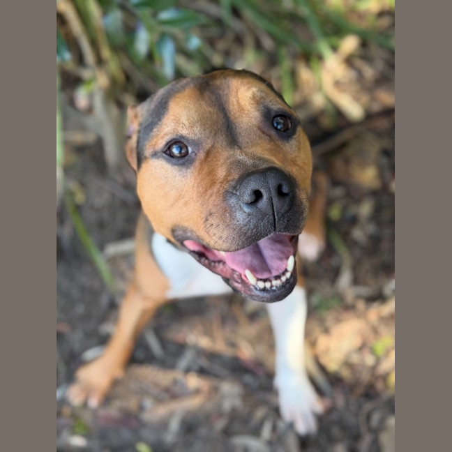 Photo of Benny