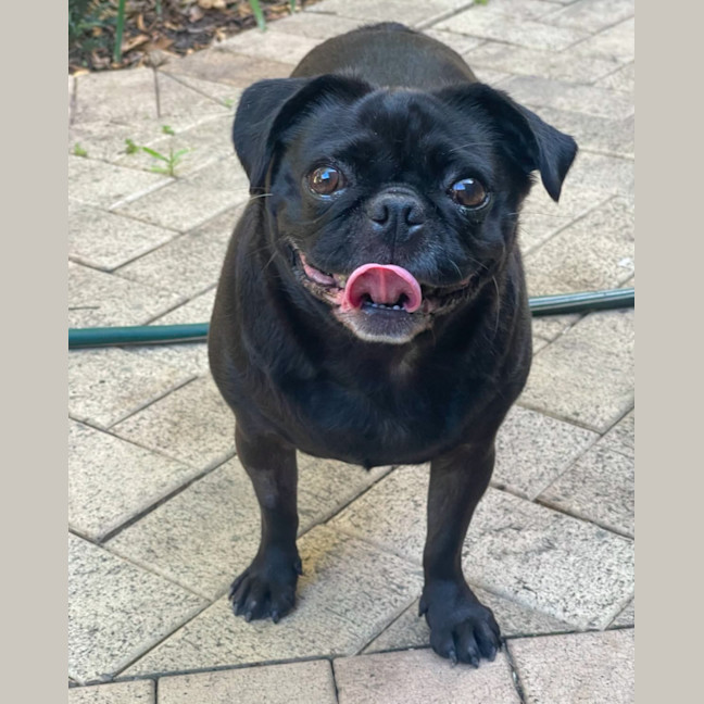 Photo of Audrey 🌱