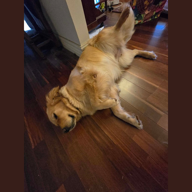 Photo of Butternut Snap