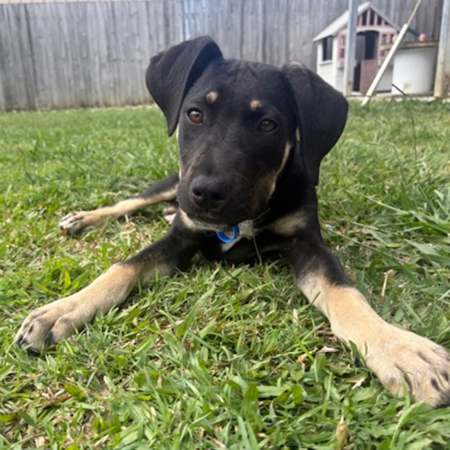 Photo of Ares